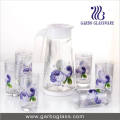 Thermal Transfer Printed Glass Water Set